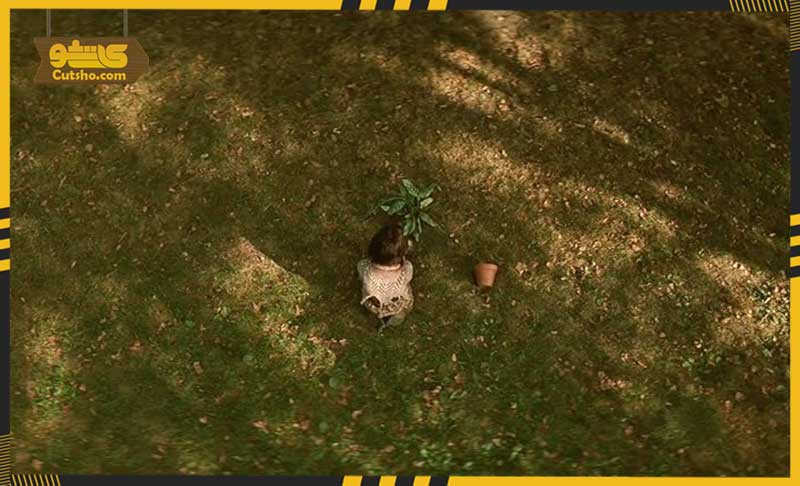 نقد فیلم Leon :The Professional